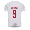 Officiële Voetbalshirt Denemarken Martin Braithwaite 9 Uit WK 2022 - Heren